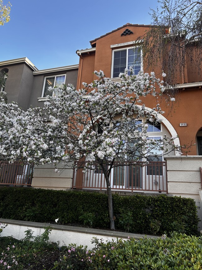 4490 Lick Mill Blvd in Santa Clara, CA - Building Photo - Building Photo