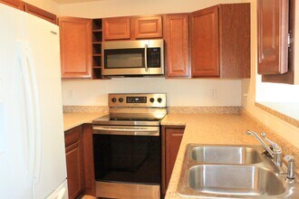 4759 Live Oak Dr in Colorado Springs, CO - Building Photo - Building Photo