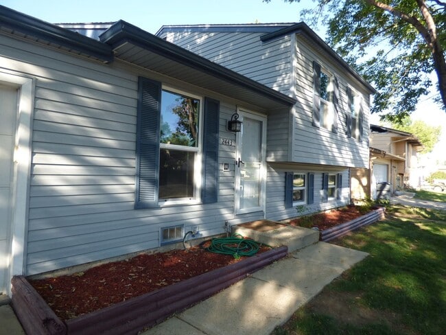 2443 Lincoln St in Longmont, CO - Building Photo - Building Photo