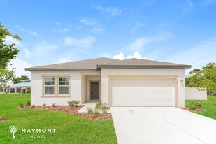 317 Cartee Ln in Kissimmee, FL - Building Photo