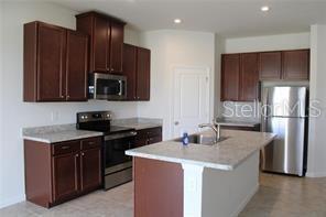 18291 Falling Pine Needle Ln in Land O Lakes, FL - Building Photo - Building Photo