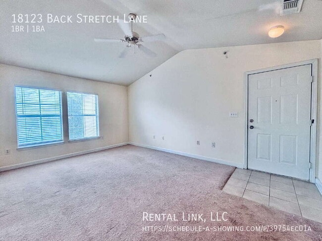 18123 Back Stretch Ln in Tampa, FL - Building Photo - Building Photo