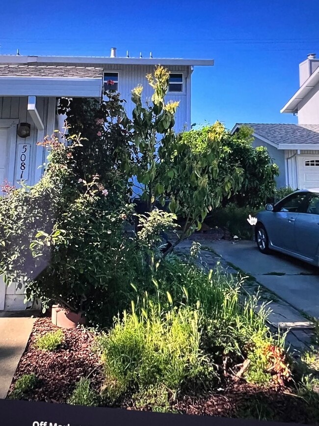 5081 Veranda Terrace