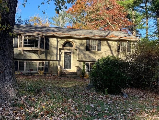 property at 19 Pine St