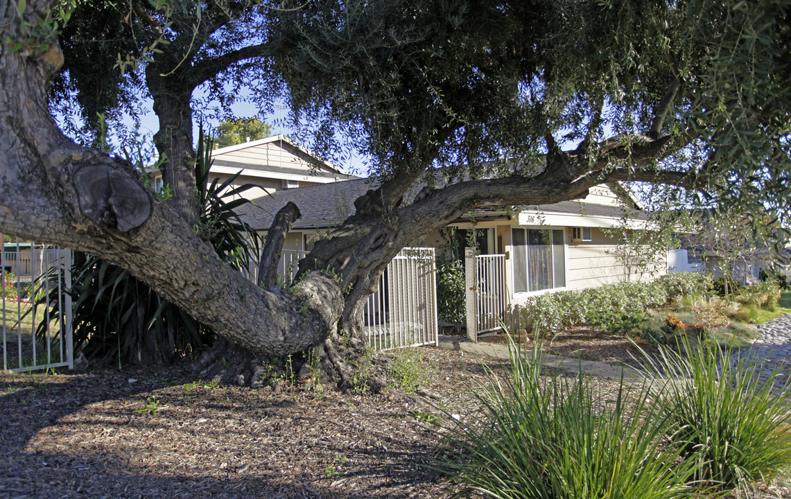 316 San Antonio Ave in Upland, CA - Building Photo