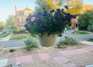 147 N Sherman St, Unit 3 in Denver, CO - Building Photo - Building Photo