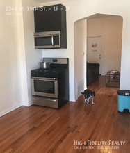 2346 W 19th St in Chicago, IL - Building Photo - Building Photo