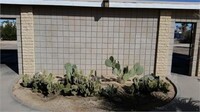 73636 Cactus Dr photo'