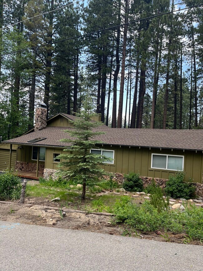 1402 June Way in South Lake Tahoe, CA - Building Photo - Building Photo