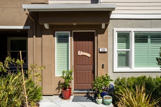 The Villages at Arnold in Martinez, CA - Building Photo - Building Photo