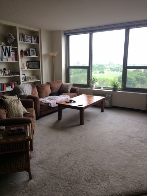 property at 1550 N Lake Shore Dr