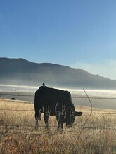 644 W Galena St, Unit 2 in Butte, MT - Building Photo - Building Photo