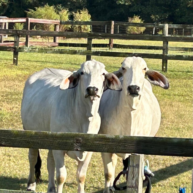 373 T Johnson Rd in Carthage, NC - Building Photo - Building Photo