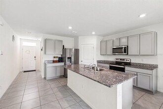 33657 Field Maple Lp in Wesley Chapel, FL - Building Photo - Building Photo