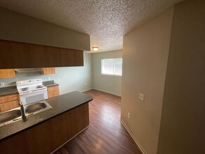 6731 Congress St-Unit -1 in New Port Richey, FL - Foto de edificio - Building Photo