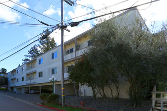 Tamal Vista Apartments in Mill Valley, CA - Building Photo - Building Photo