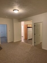 16 Pleasant St in Leroy, NY - Building Photo - Building Photo