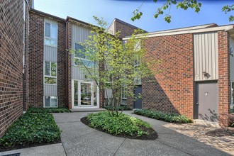 Treeview Apartments in Harrisburg, PA - Building Photo - Building Photo