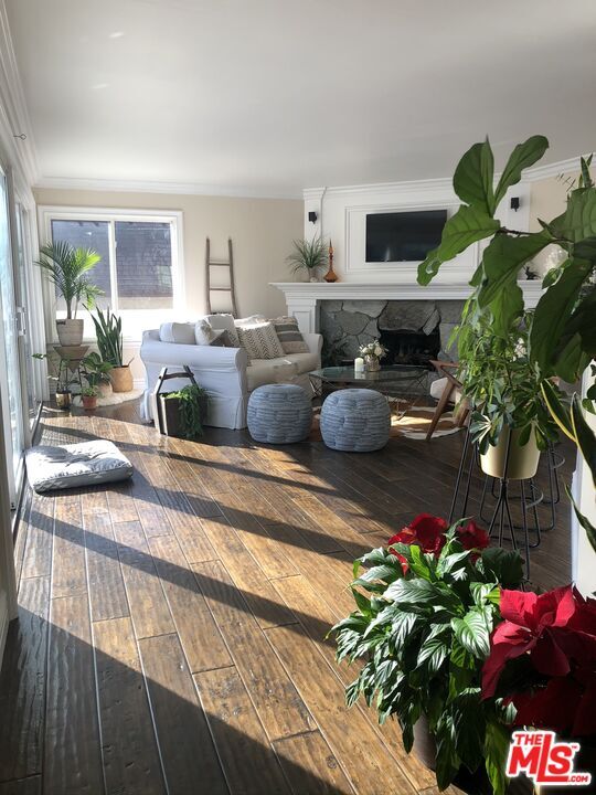 33841 Colegio Dr in Dana Point, CA - Building Photo - Building Photo