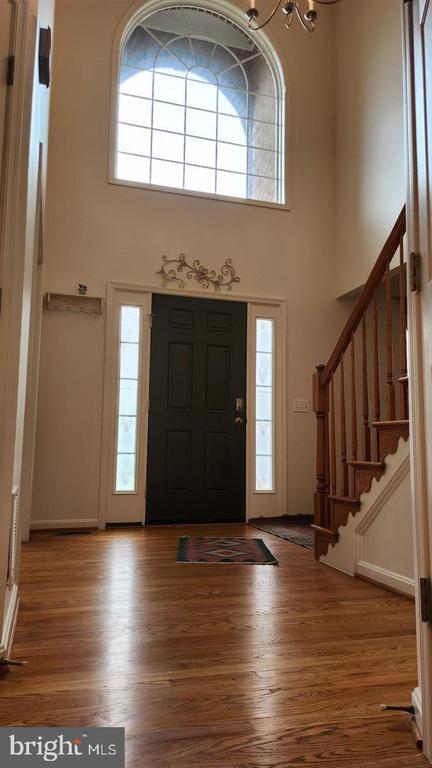 property at 4018 Tiber Falls Dr