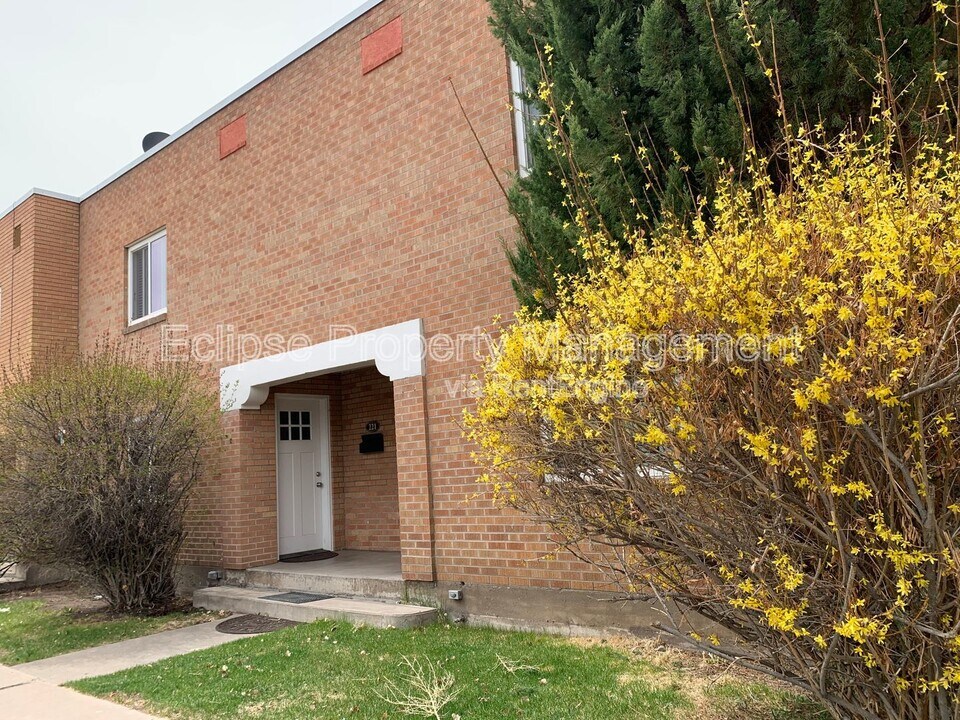 221 Edison Ave in Alamosa, CO - Building Photo