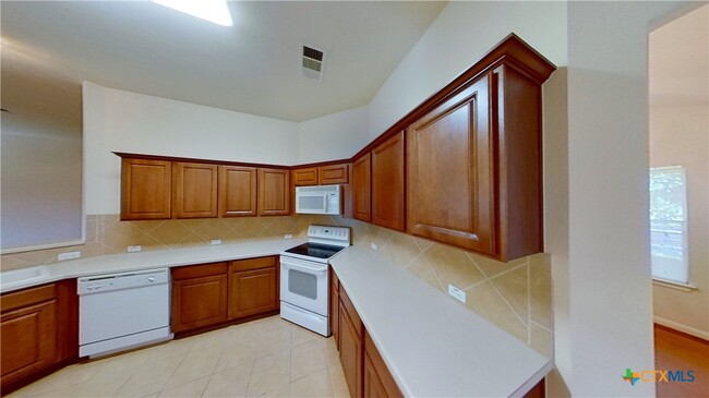 133 Gainer Dr in Hutto, TX - Building Photo - Building Photo