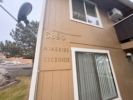 3895 E Leonesio Dr in Reno, NV - Building Photo