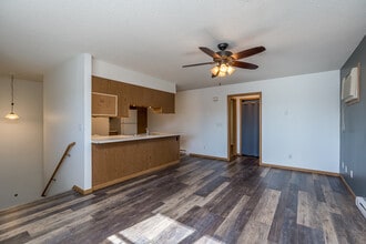 119 Balcerzak Dr in Mankato, MN - Building Photo - Building Photo