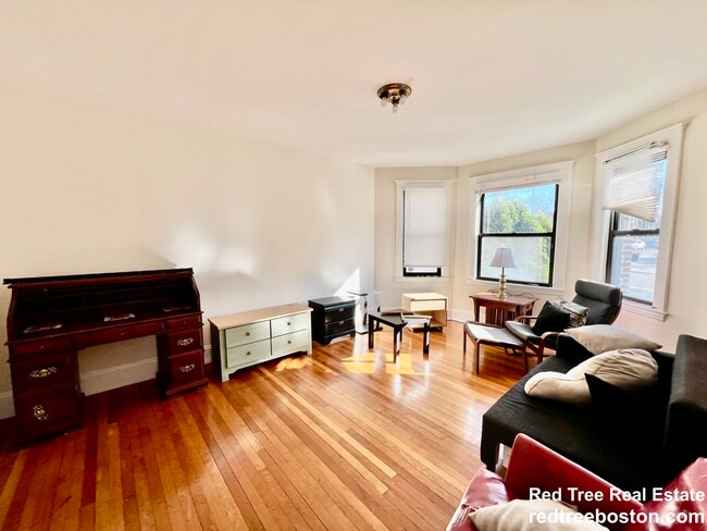 225 Chestnut Hill Ave in Boston, MA - Building Photo - Building Photo