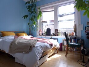 179 Harvard St, Unit 2 in Brookline, MA - Foto de edificio - Building Photo