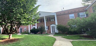 202 Paine Ct, Unit 1 in Chestnut Hill, MA - Building Photo