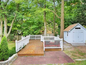 41 Leonard Ave in Greenwich, CT - Building Photo - Building Photo