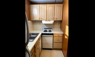 197 W Court St in Marion, NC - Building Photo - Building Photo