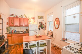 1014 N Paulina St in Chicago, IL - Building Photo - Building Photo