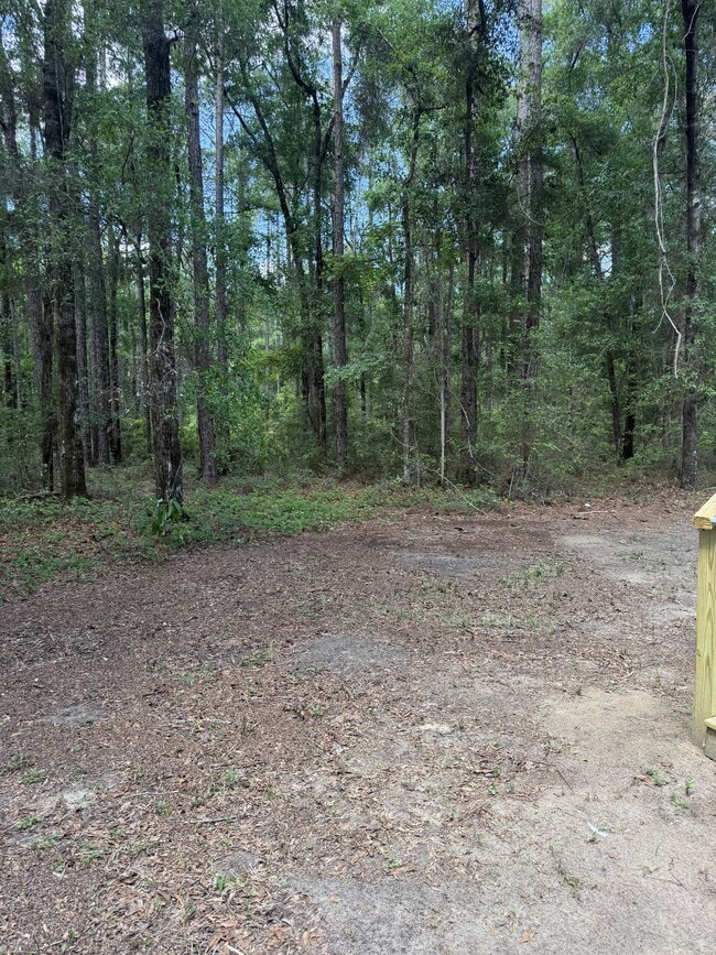 199 Turkey Run Rd in Crawfordville, FL - Building Photo - Building Photo