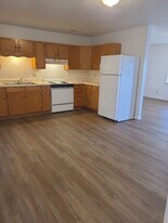 975 E Margaret St in Piggott, AR - Building Photo