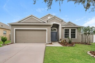 13206 Beechberry Dr in Riverview, FL - Building Photo