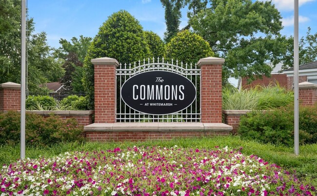 Commons at Whitemarsh in Middle River, MD - Building Photo - Building Photo