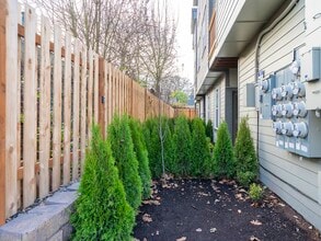 Stafford Apartments in Portland, OR - Foto de edificio - Building Photo