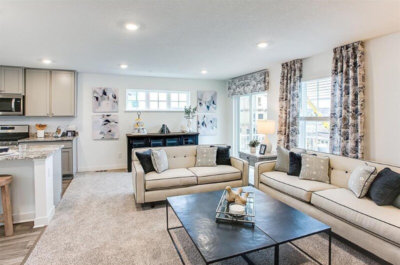 12572 Guadalcanal Cir in Blaine, MN - Building Photo