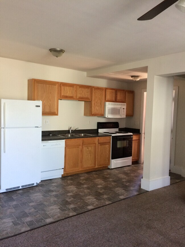 1037 Hepburn St, Unit 1st Floor in Williamsport, PA - Building Photo - Building Photo