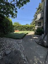226 Sycamore Ave in Mill Valley, CA - Building Photo - Building Photo