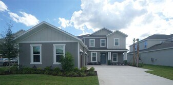 33912 Anchor Lgt Ln in Wesley Chapel, FL - Building Photo