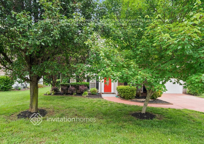 property at 8201 McCarron Way