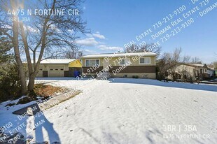 4475 N Fortune Cir in Colorado Springs, CO - Building Photo