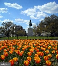 2201 L St NW in Washington, DC - Building Photo - Building Photo