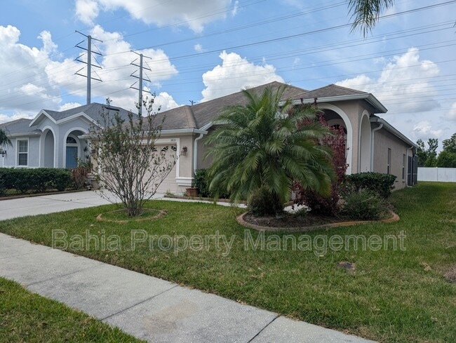 3833 Washburn Pl in Wesley Chapel, FL - Building Photo - Building Photo