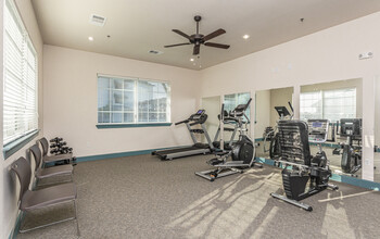 La Stella Independent Senior Living in Edinburg, TX - Foto de edificio - Interior Photo