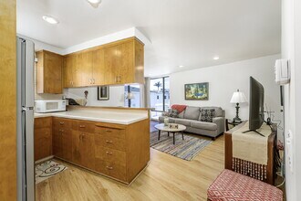 226 Garnet Ave in Newport Beach, CA - Building Photo - Building Photo