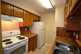 11201 Lynbrook Dr-Unit -3807 in Houston, TX - Building Photo - Building Photo